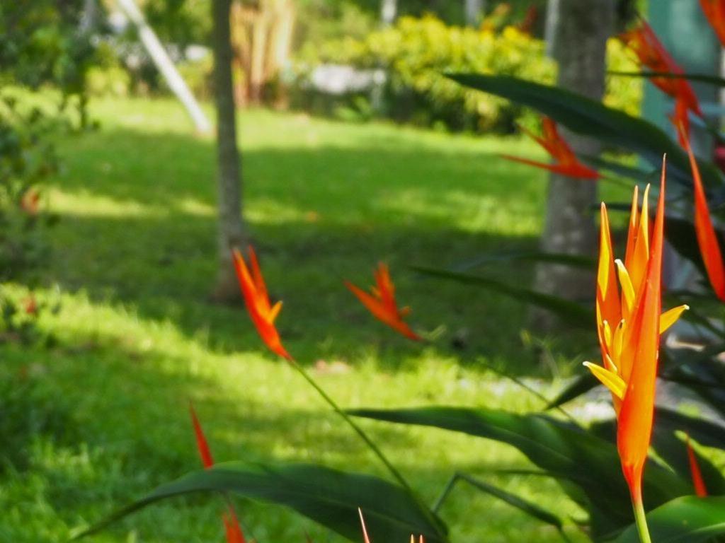 Hotel Navy Garden Chiang Saen Exterior foto